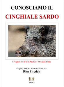 conosciamo-il-cinghiale-sardo-rita-piredda