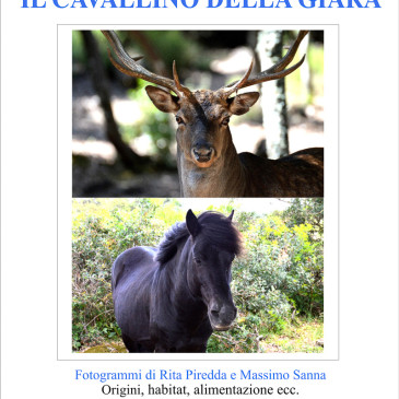 Il daino e il cavallino della giara