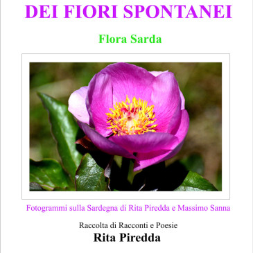 L’incanto dei fiori spontanei