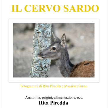 Raccontiamo il cervo sardo