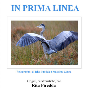 Uccelli in prima linea