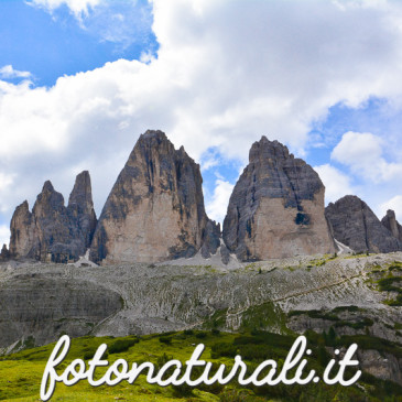 Dolomiti 08 2014