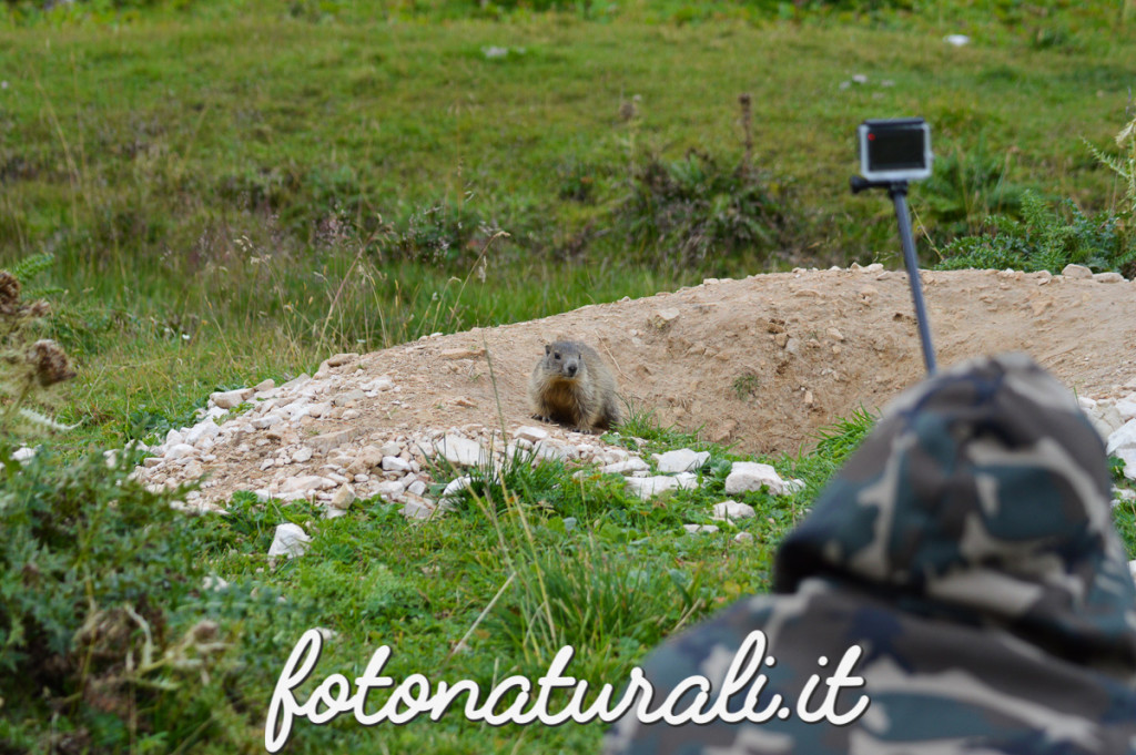 fotonaturali-dolomiti2-15a32