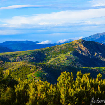 Favola Sardegna