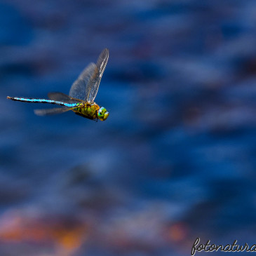 Specchi di Luce… Divina Natura